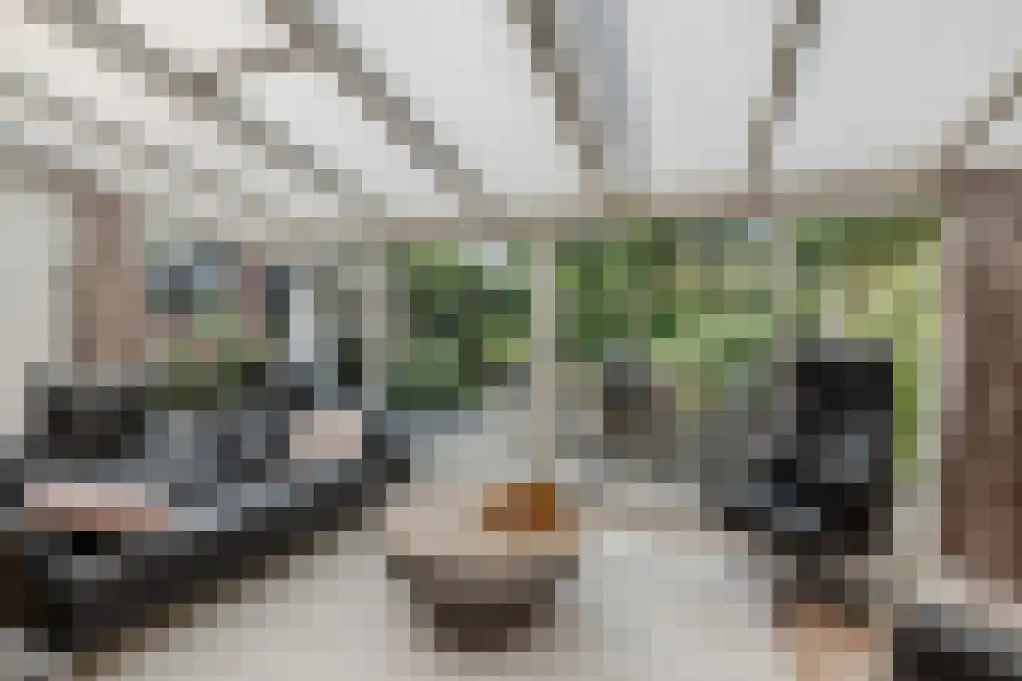 Volmachten 48 Vries thumbnail 26