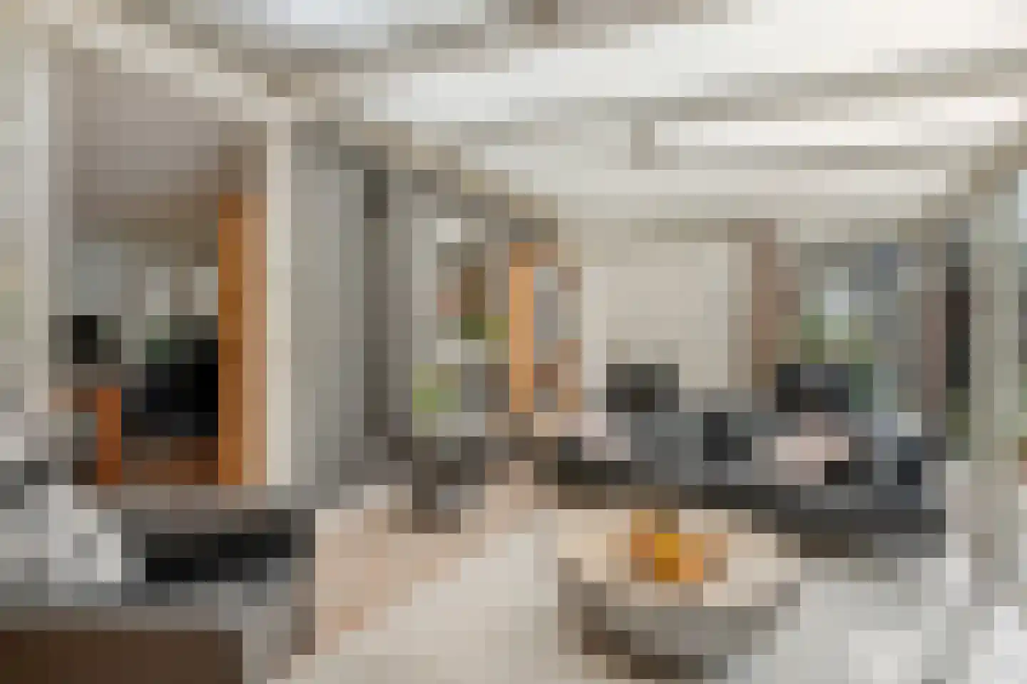 Volmachten 48 Vries thumbnail 27