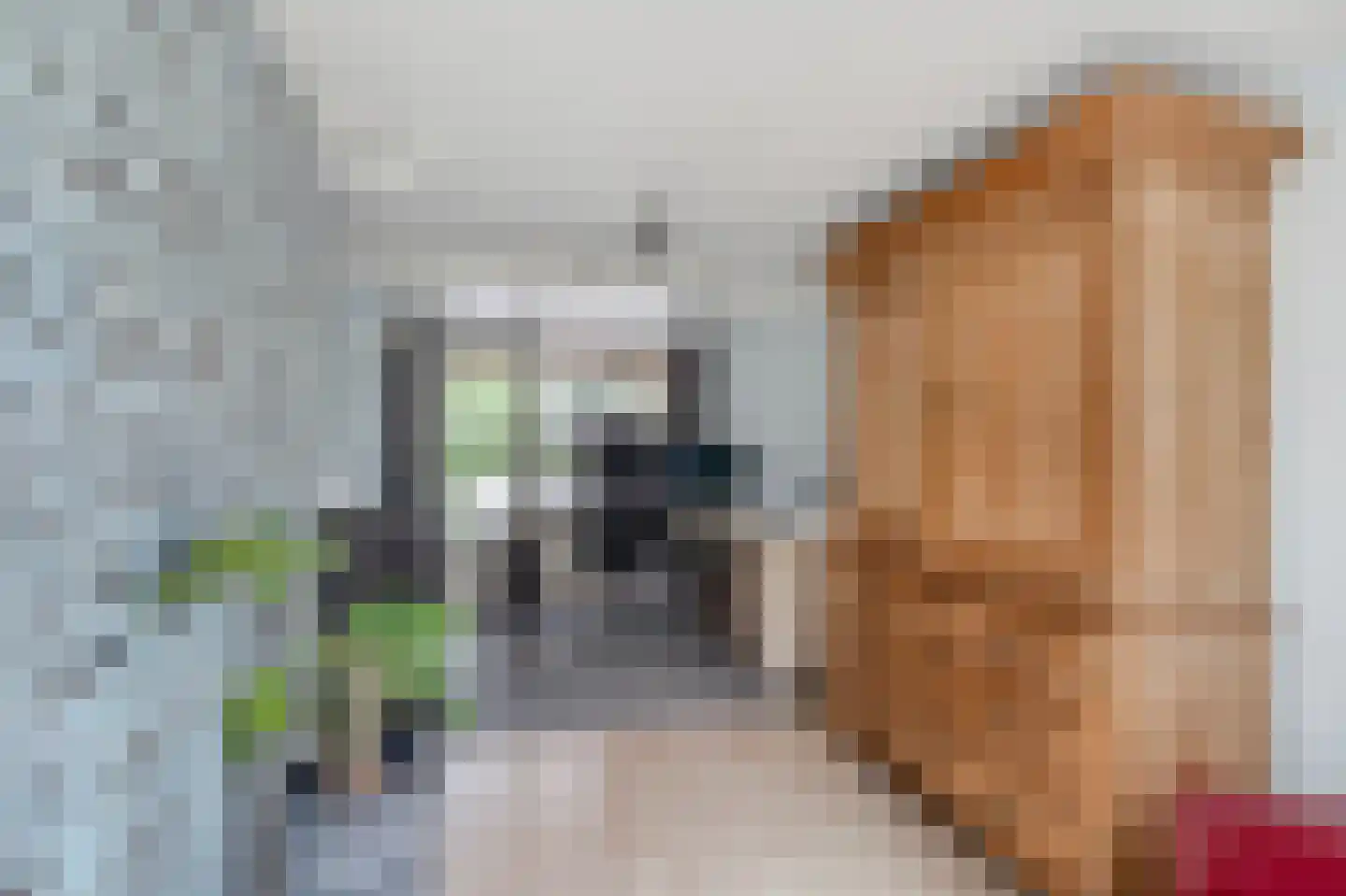 Volmachten 48 Vries thumbnail 29