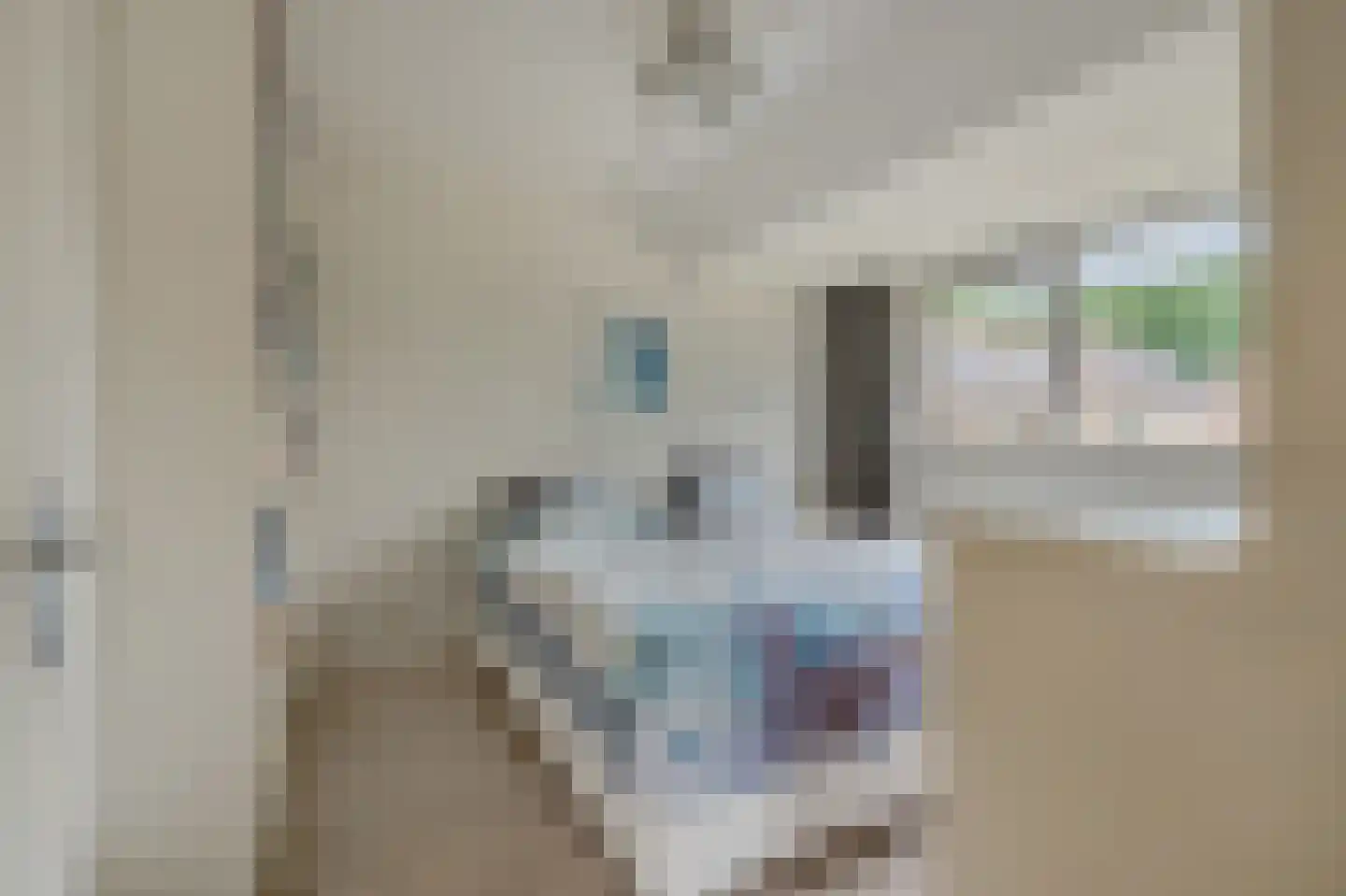 Volmachten 48 Vries thumbnail 36