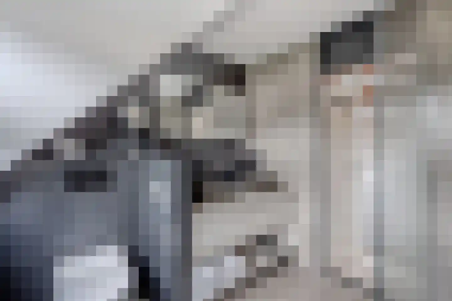 Volmachten 48 Vries thumbnail 38