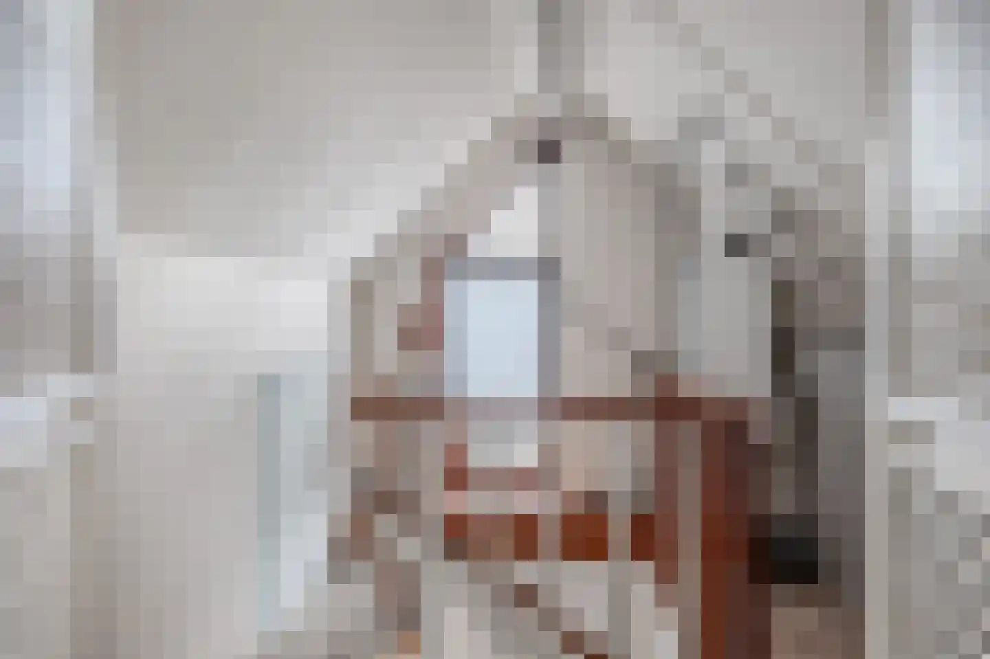 Volmachten 48 Vries thumbnail 41