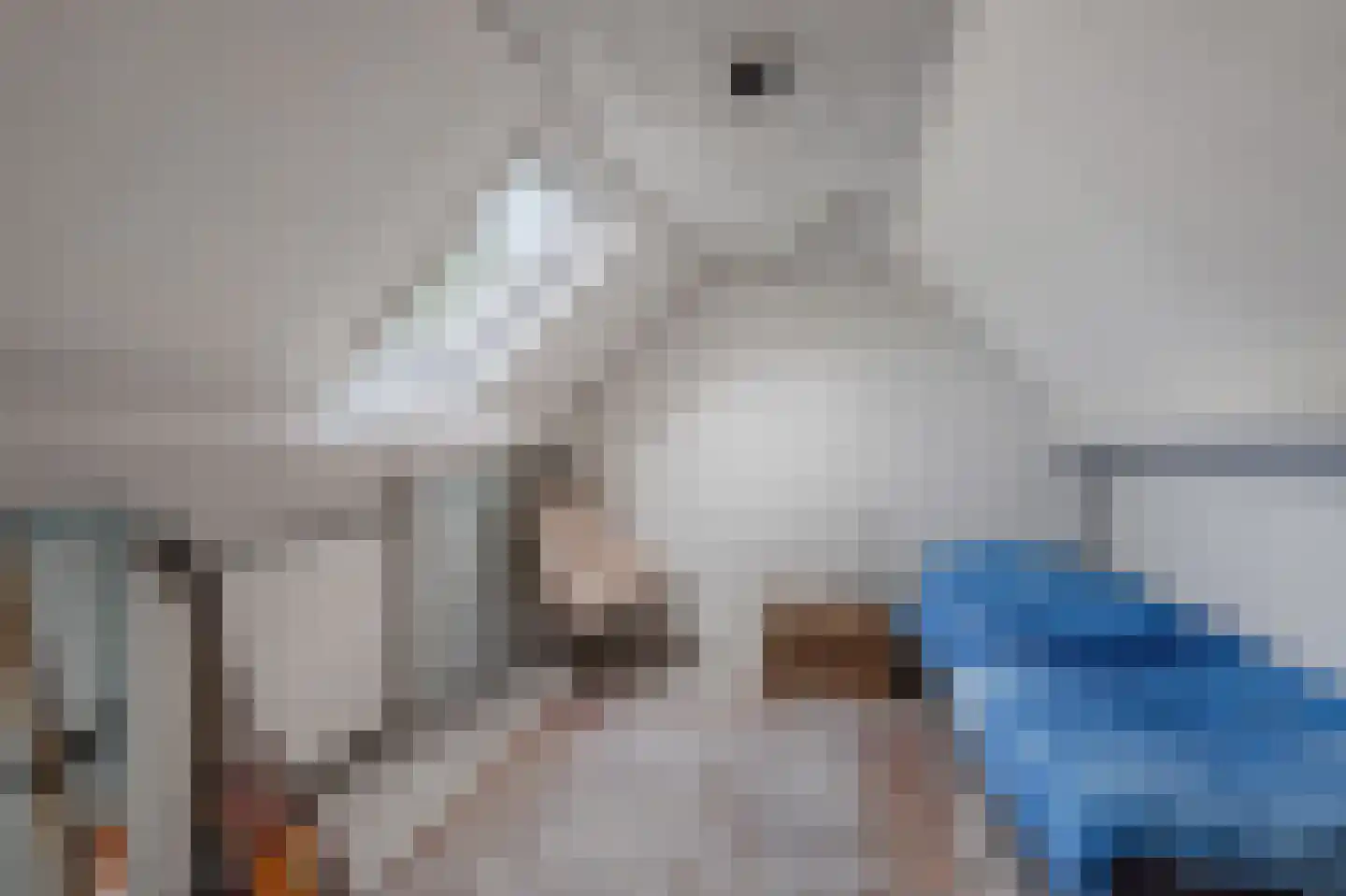 Volmachten 48 Vries thumbnail 42