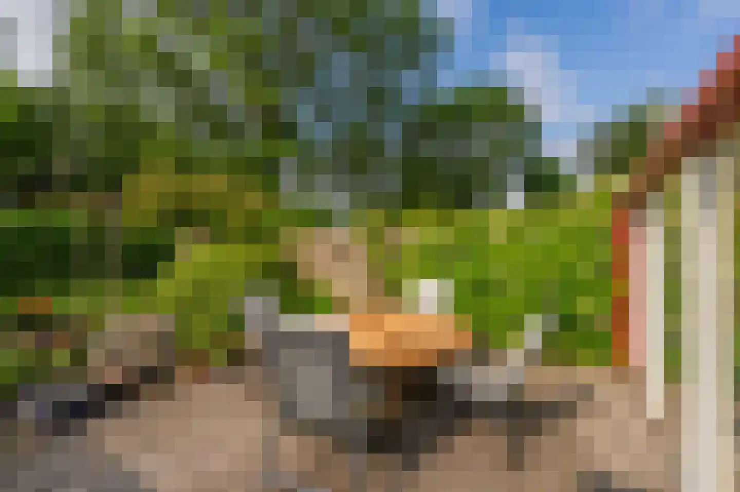 Volmachten 48 Vries thumbnail 45