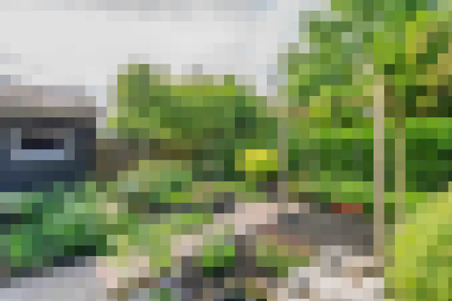 Volmachten 48 Vries thumbnail 53