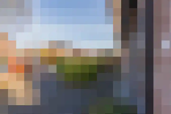 Volmachten 50 Vries thumbnail 10