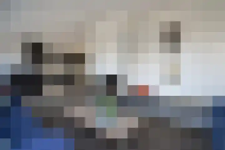 Volmachten 50 Vries thumbnail 24