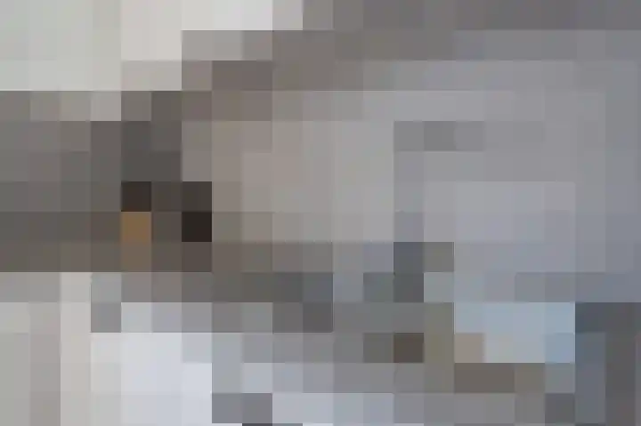 Volmachten 50 Vries thumbnail 30