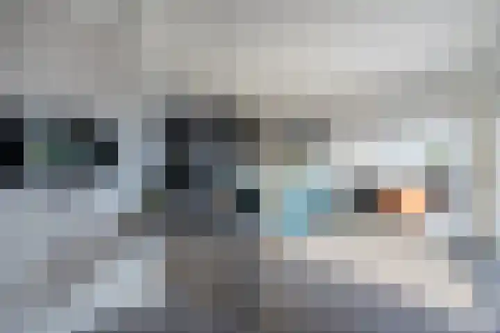 Volmachten 50 Vries thumbnail 31