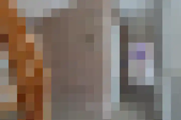 Volmachten 50 Vries thumbnail 32