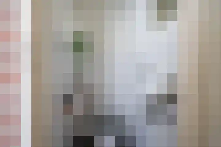 Volmachten 50 Vries thumbnail 34