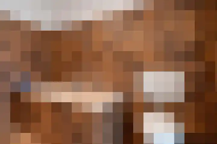 Volmachten 50 Vries thumbnail 39