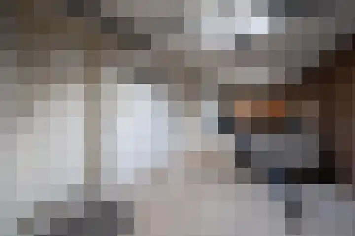 Volmachten 50 Vries thumbnail 50