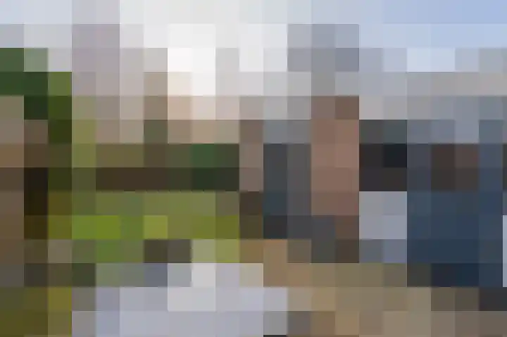 Volmachten 50 Vries thumbnail 54