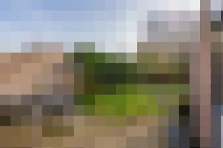 Volmachten 50 Vries thumbnail 56