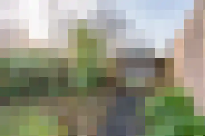 Volmachten 50 Vries thumbnail 62