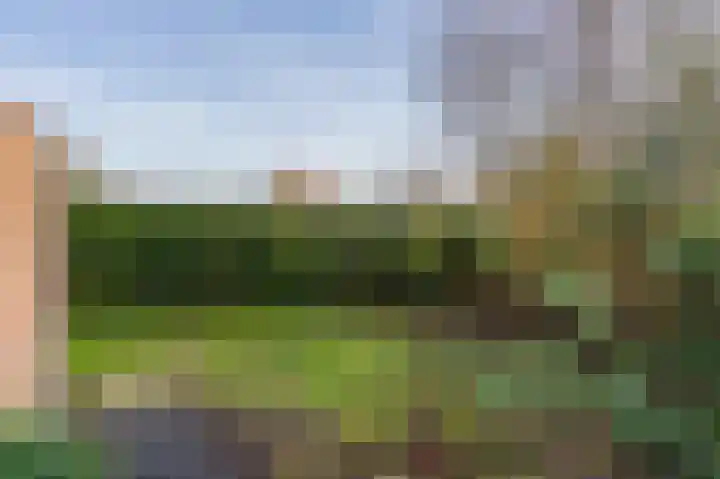 Volmachten 50 Vries thumbnail 63