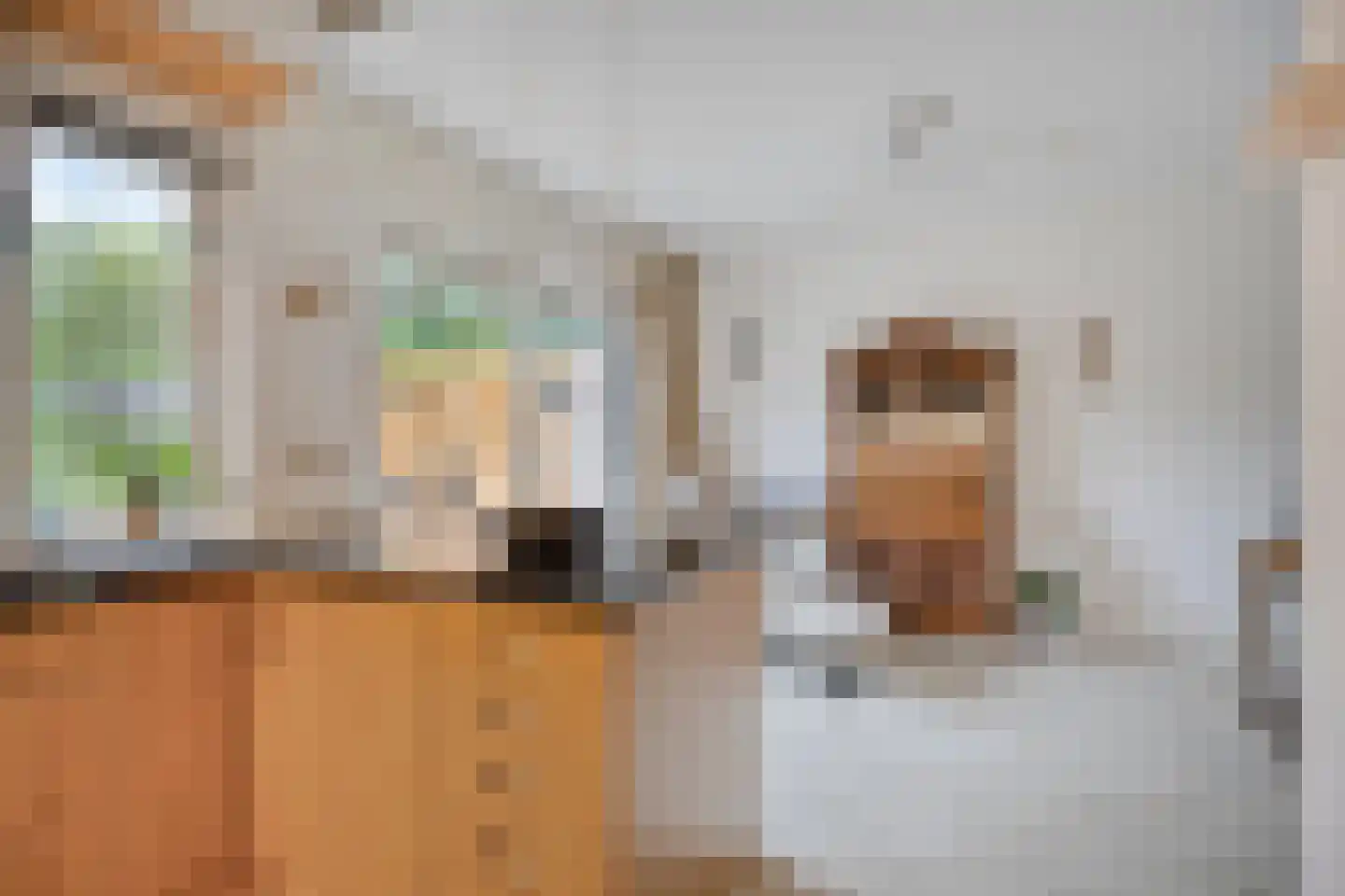 Volmachten 52 Vries thumbnail 15