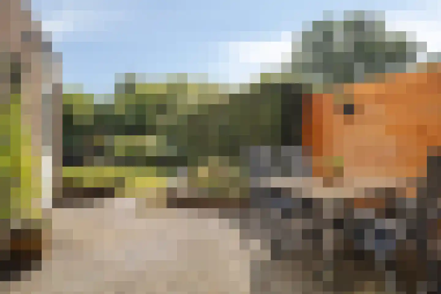 Volmachten 52 Vries thumbnail 32