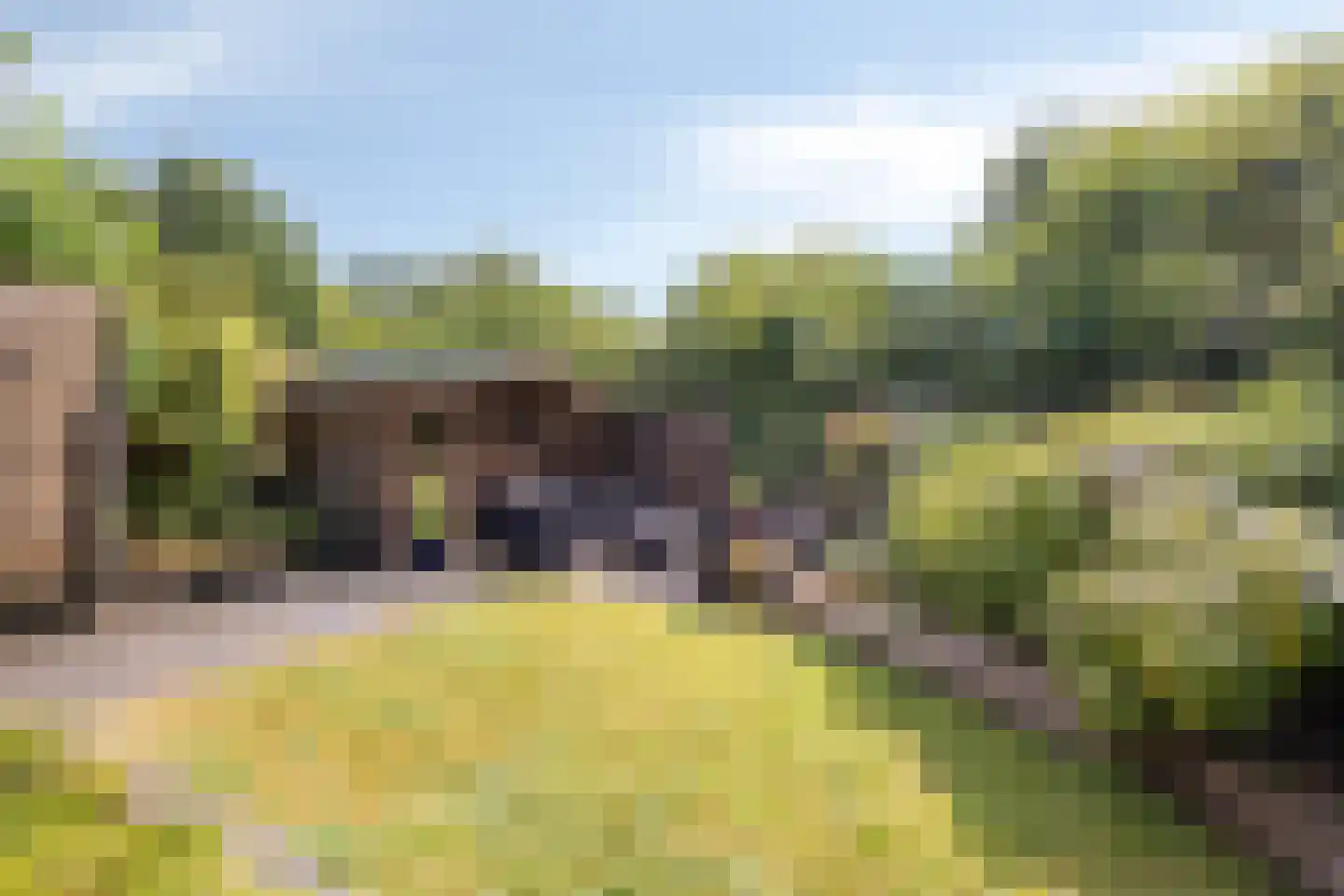 Volmachten 52 Vries thumbnail 34