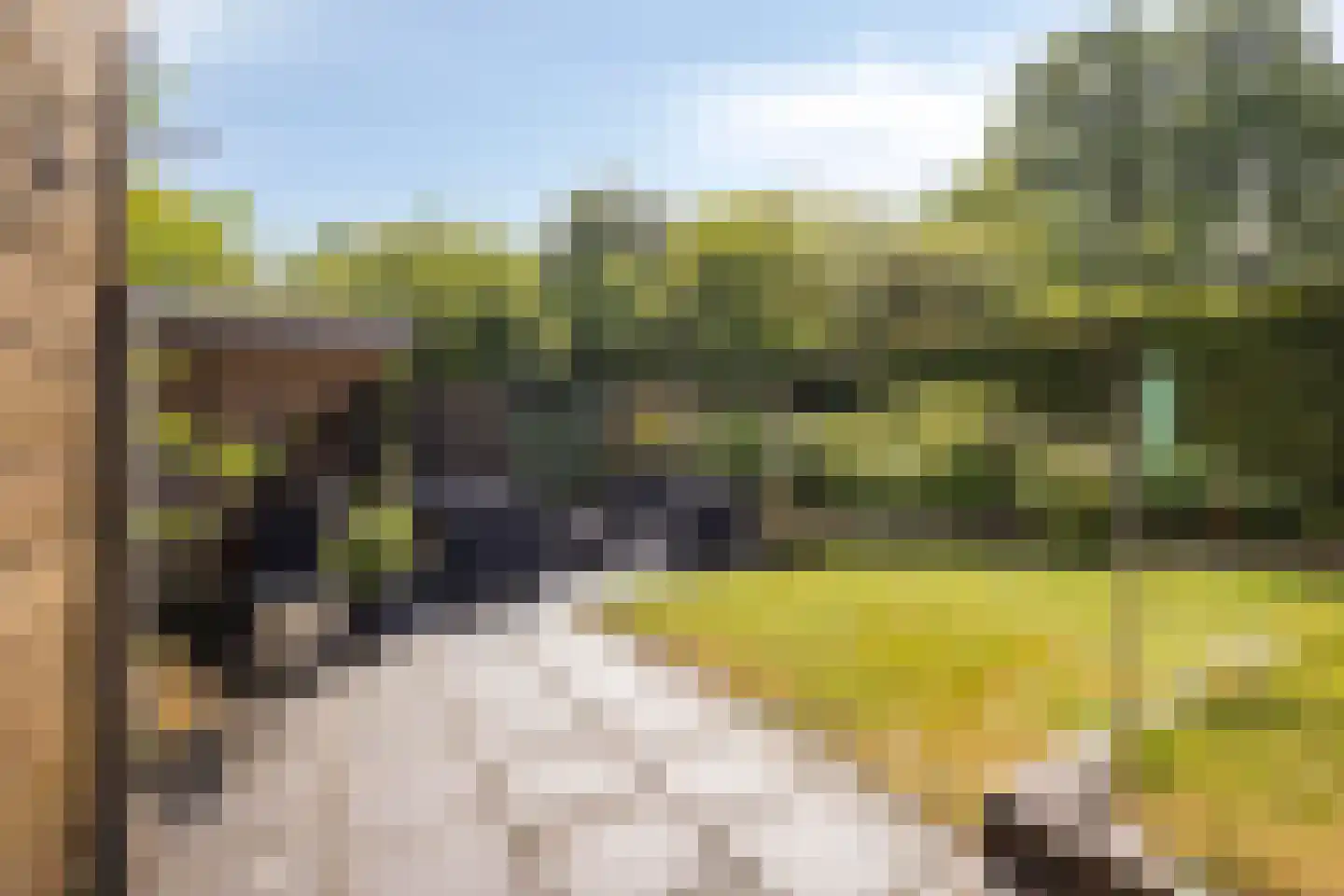 Volmachten 52 Vries thumbnail 36