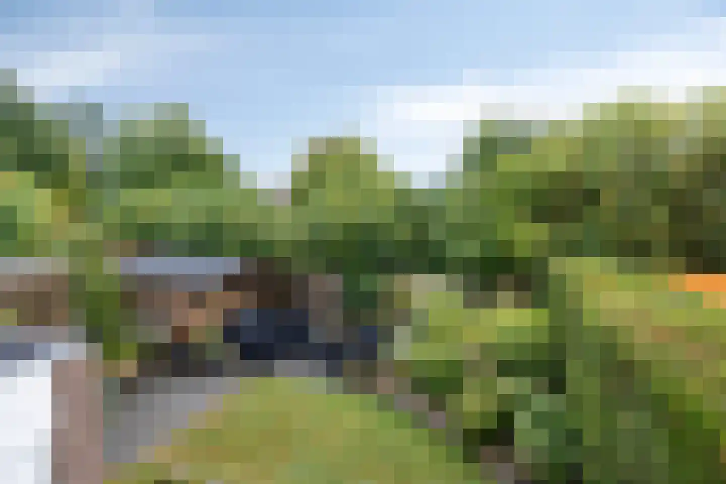 Volmachten 52 Vries thumbnail 38