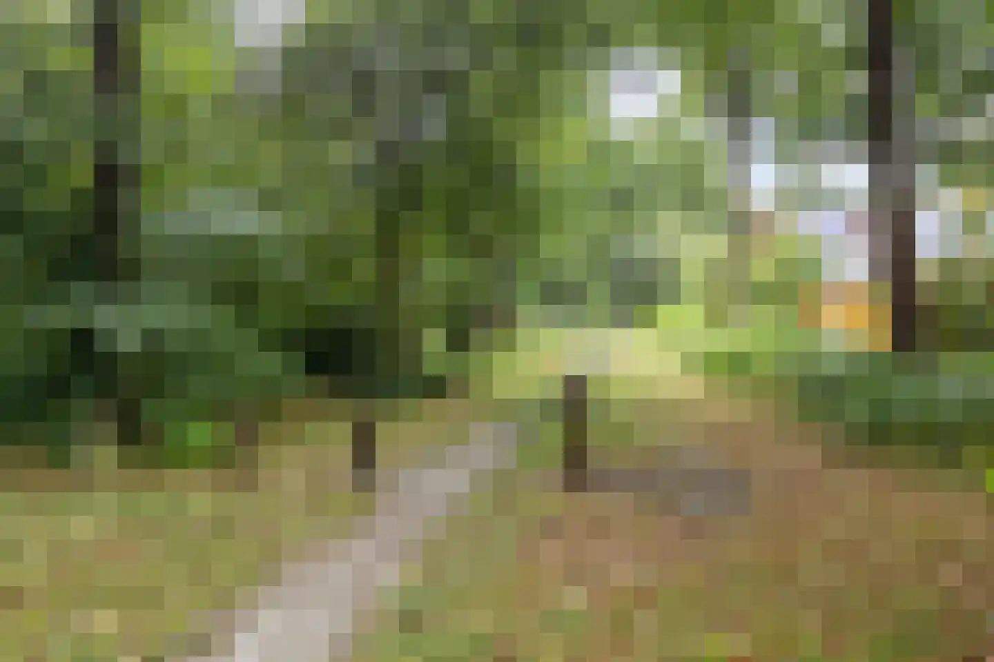 Volmachten 52 Vries thumbnail 44