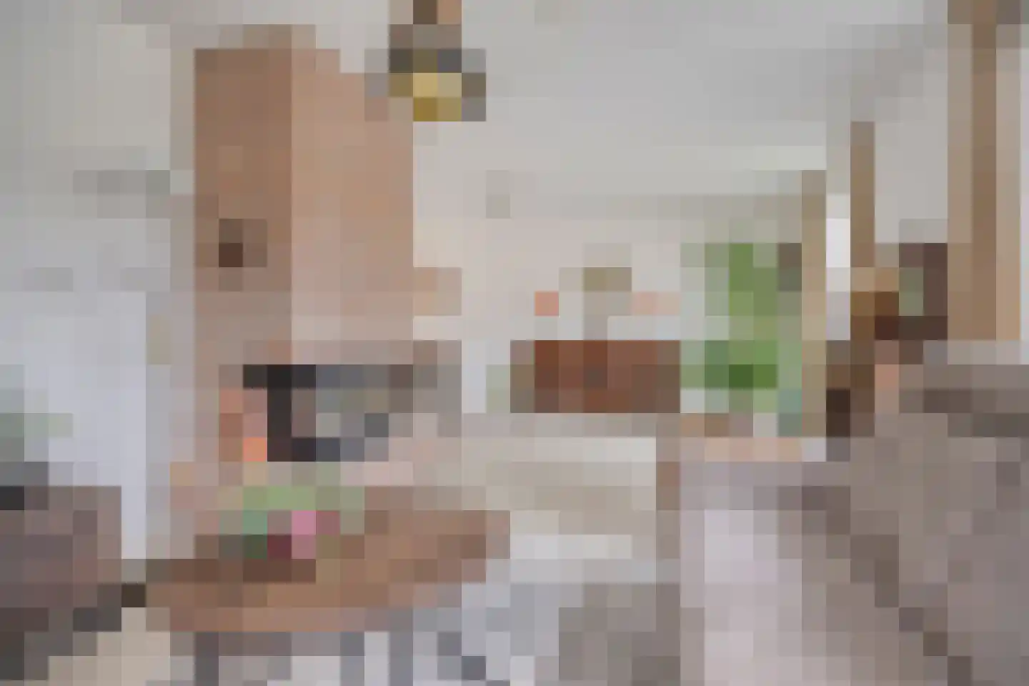 Volmachten 52 Vries thumbnail 8