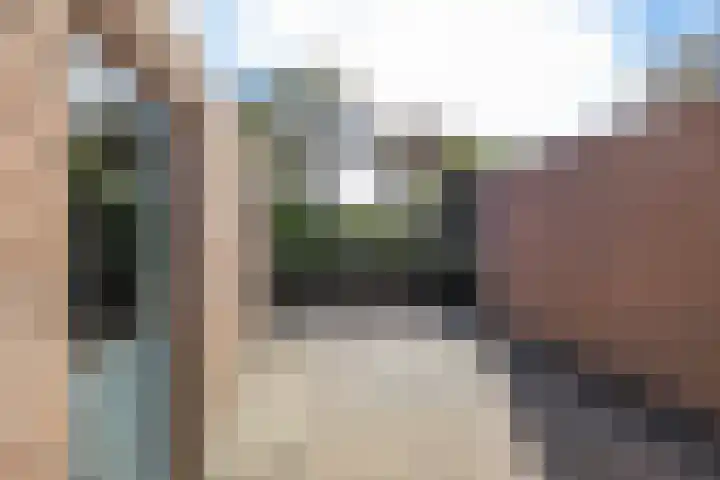 Volmachten 64 Vries thumbnail 24