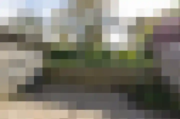Volmachten 64 Vries thumbnail 26