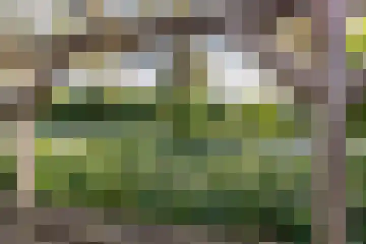 Volmachten 64 Vries thumbnail 27