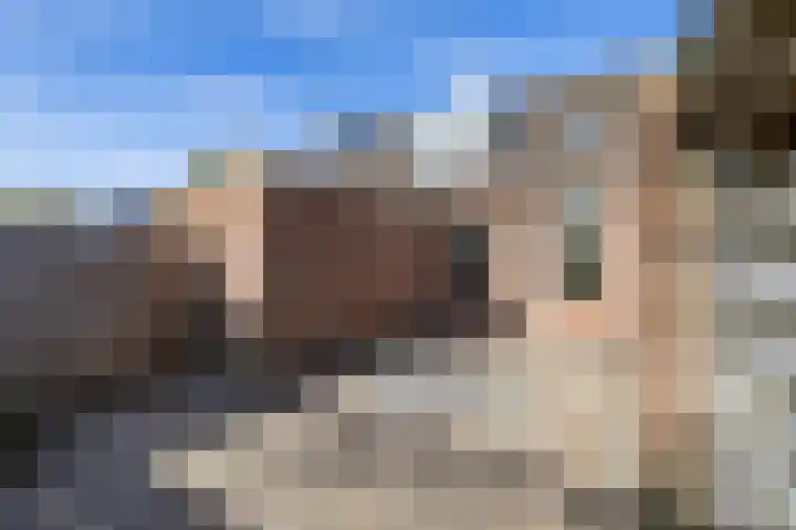 Volmachten 64 Vries thumbnail 28