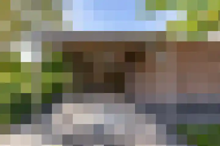 Volmachten 64 Vries thumbnail 30