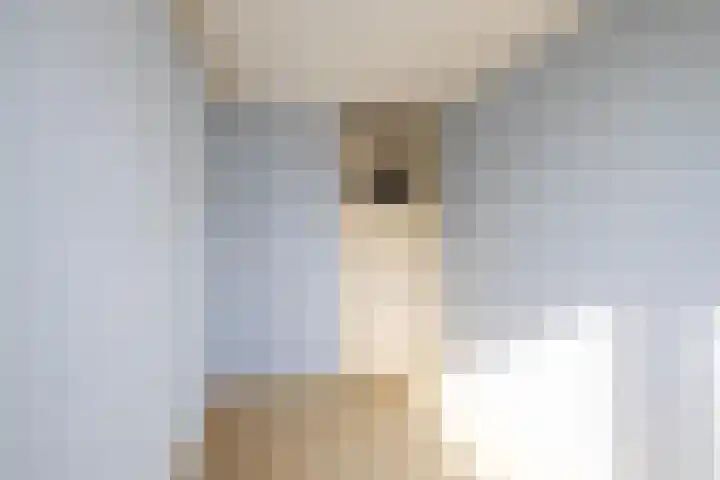 Volmachten 64 Vries thumbnail 36
