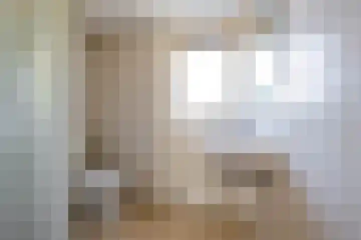 Volmachten 64 Vries thumbnail 4