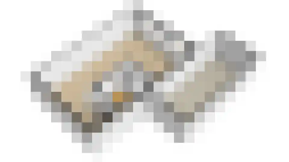 Volmachtenlaan 25 Rolde thumbnail 28