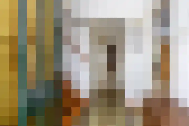 Volmachtenlaan 5 Gieten thumbnail 16