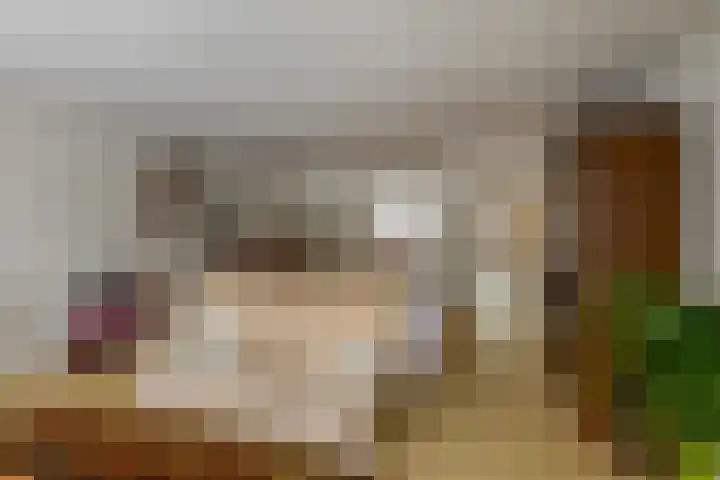Volmachtenlaan 5 Gieten thumbnail 25