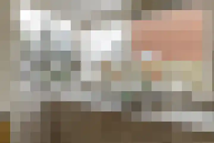 Volmachtenlaan 5 Gieten thumbnail 37