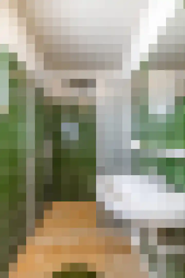Volmachtenlaan 5 Gieten thumbnail 50
