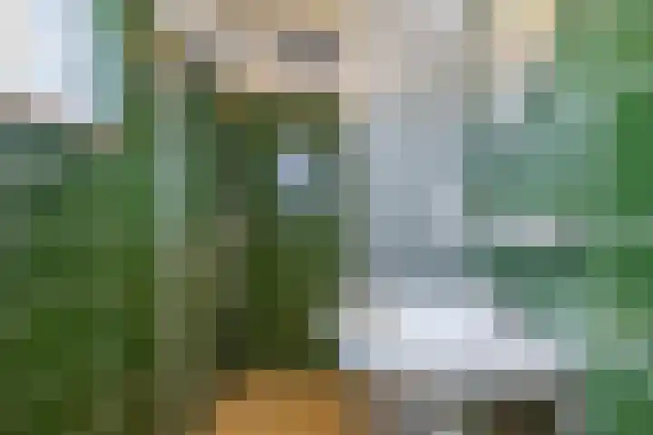 Volmachtenlaan 5 Gieten thumbnail 51