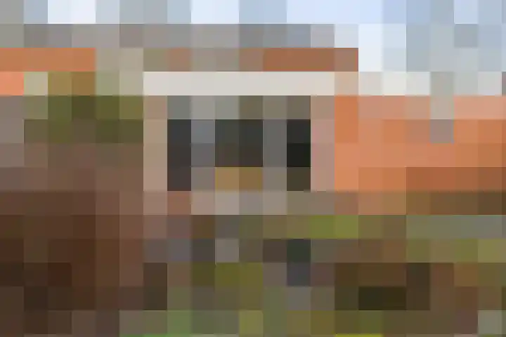 Volmachtenlaan 5 Gieten thumbnail 56
