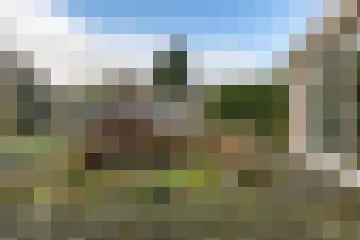 Volmachtenlaan 5 Gieten thumbnail 58