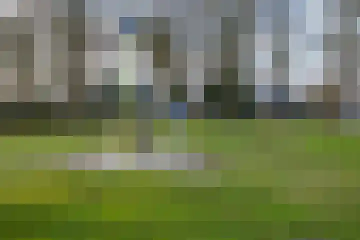 Volmachtenlaan 5 Gieten thumbnail 73