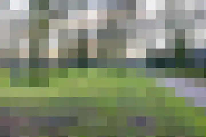 Volmachtenlaan 5 Gieten thumbnail 75