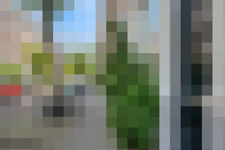 Volmarijnstraat 124 B Rotterdam thumbnail 12