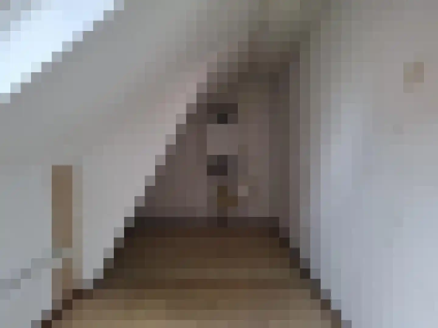 Volmarijnstraat 151 A Rotterdam thumbnail 22