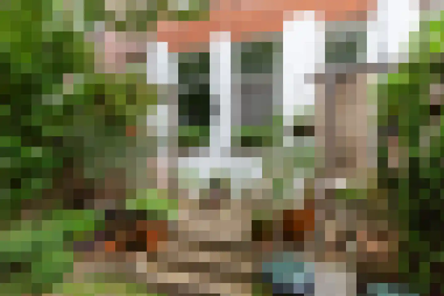 Volmarijnstraat 34 Rotterdam thumbnail 5
