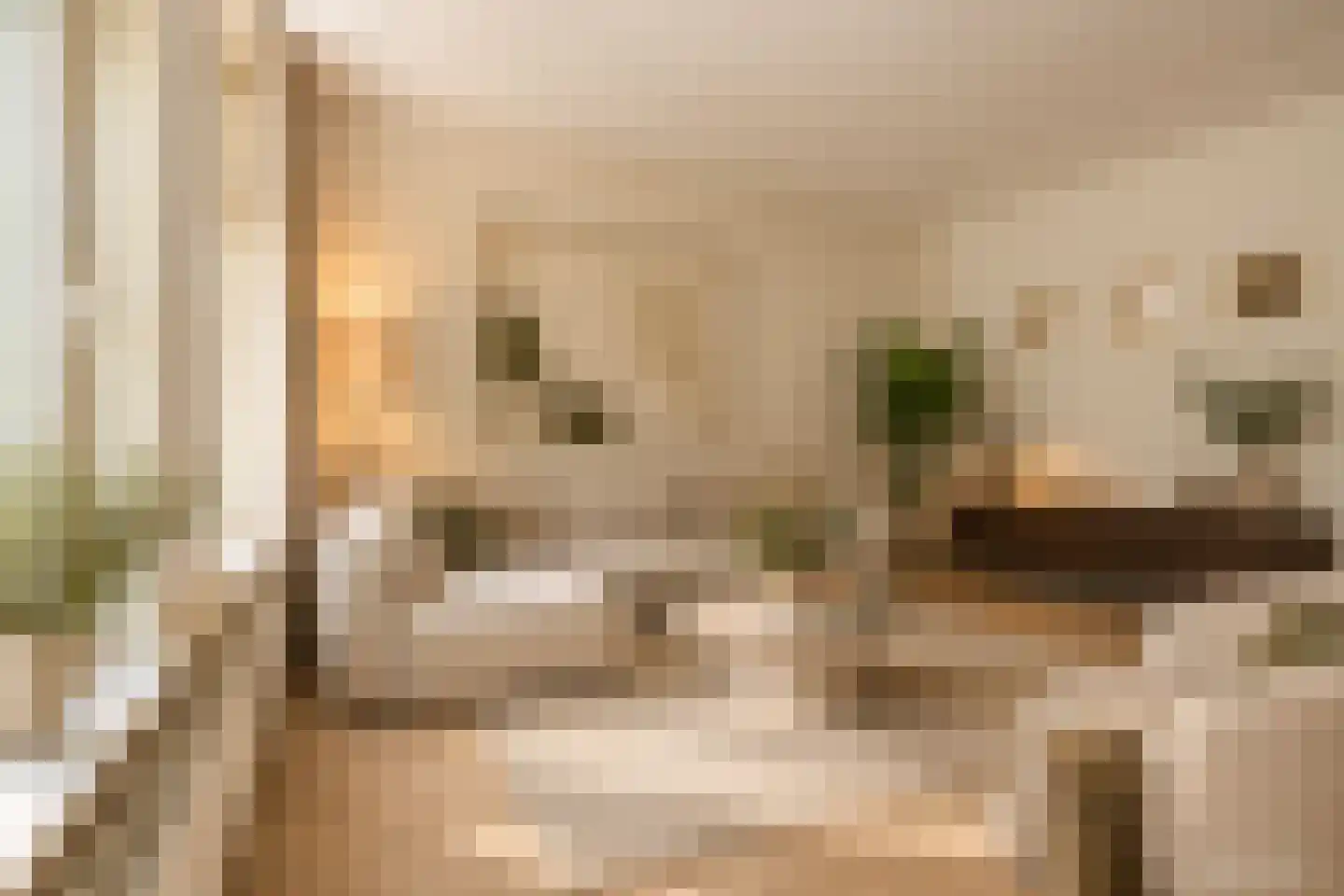 Volmarijnstraat 38 B Rotterdam thumbnail 4