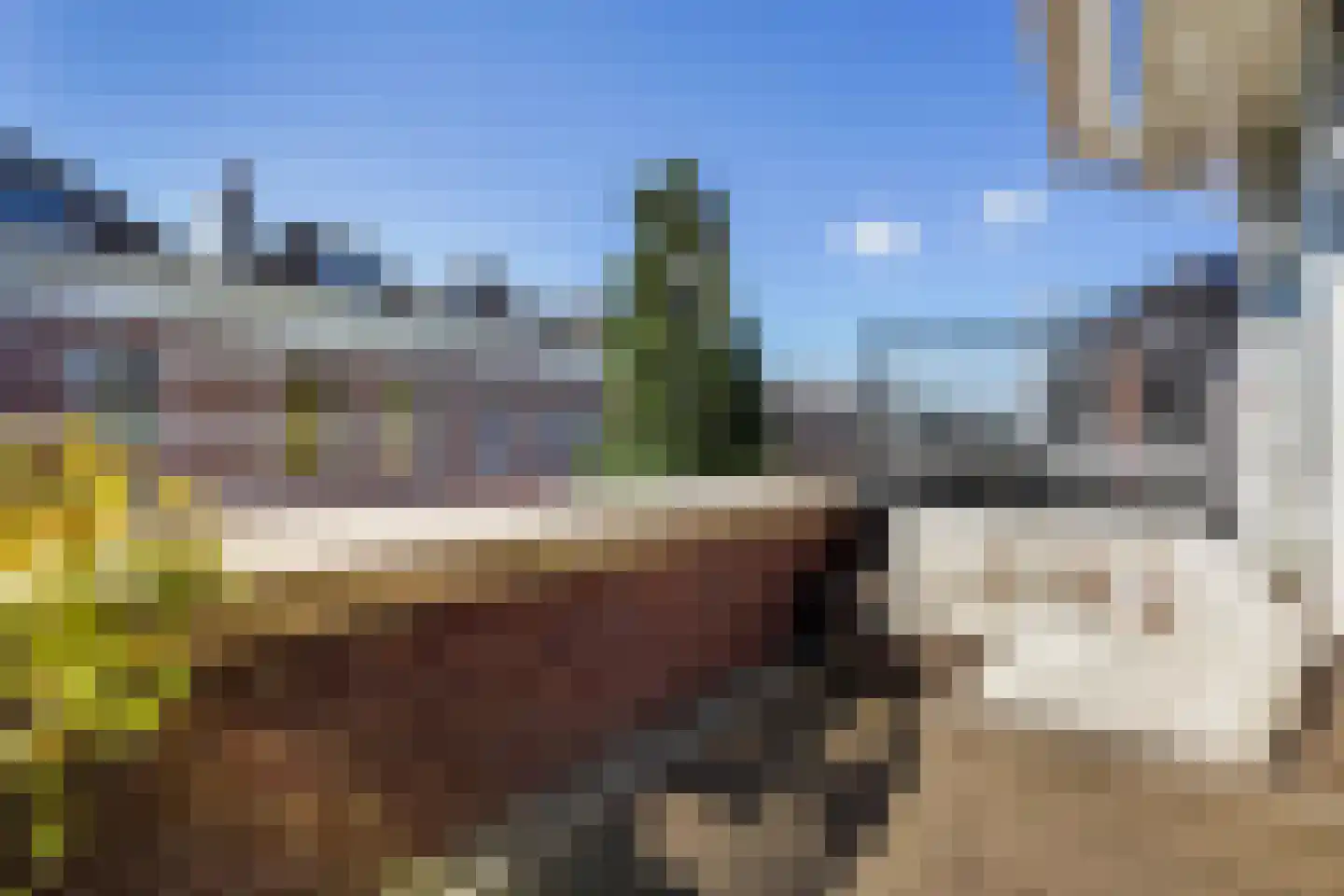 Volmarijnstraat 99 Rotterdam thumbnail 32